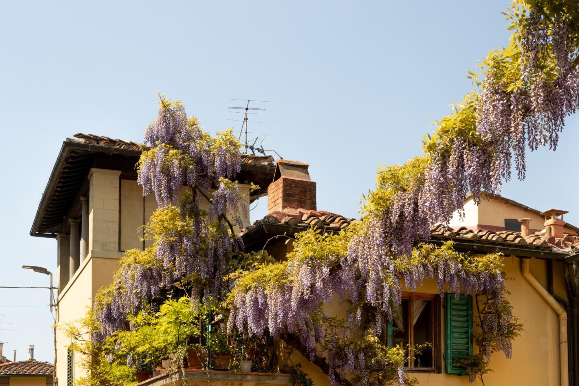 B&B Le Cannelle Fiesole Exteriör bild